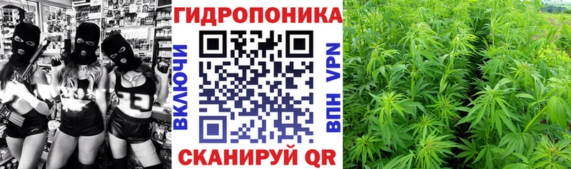 Наркота Гатчина LSD-25 КОКАИН Мефедрон Конопля ГАШ