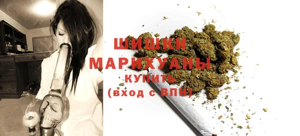 apvp Богданович