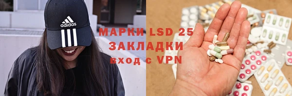 apvp Богданович