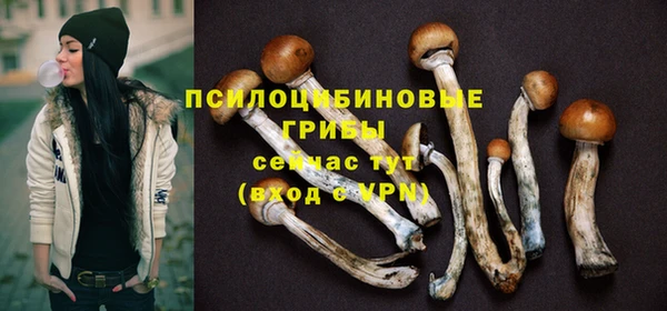 apvp Богданович