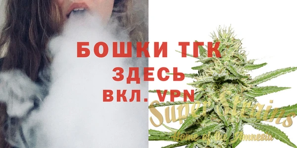 apvp Богданович
