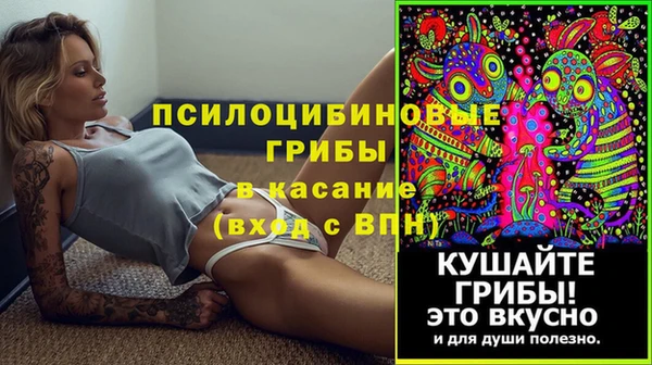 винт Богородск