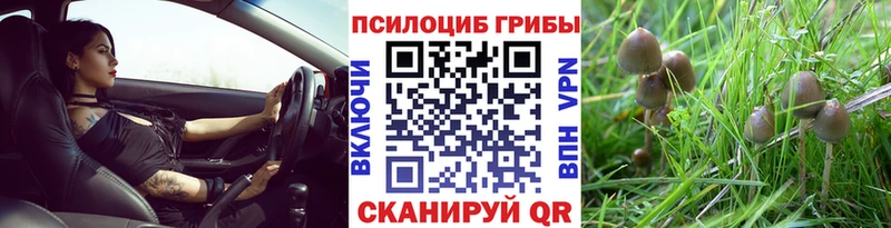купить  сайты  Гатчина  Псилоцибиновые грибы ЛСД 