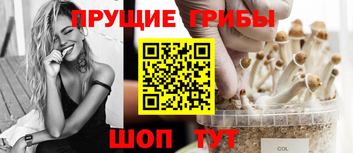 Гатчина  Псилоцибиновые грибы Psilocybine cubensis  Галлюциногенные грибы Cubensis  Вход с VPN 