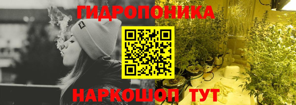 Каннабис марихуана  Каннабис индика  Конопля конопля  Вход с VPN  Гатчина  Каннабис ГИДРОПОН 